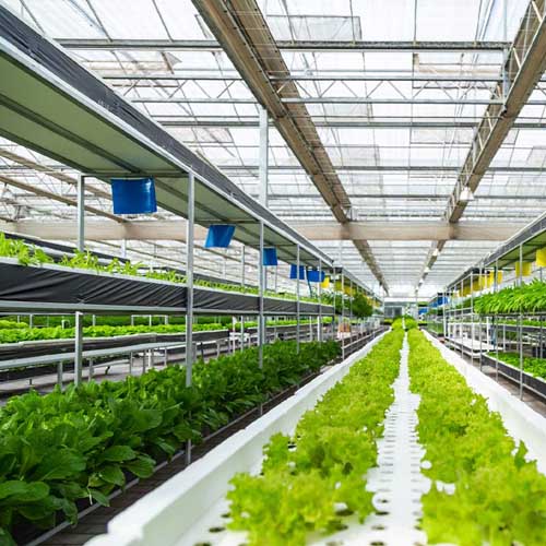 2026年5月植物厂家推荐指南：清水无菌培育天然蔬菜大棚低成本改造技术智能种植舱公司优选！(图1)
